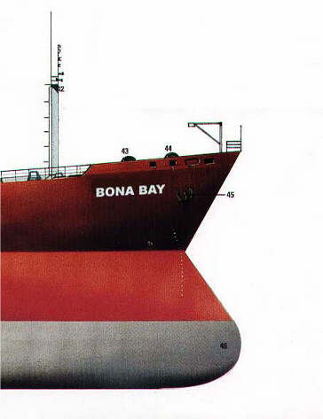 Bow section